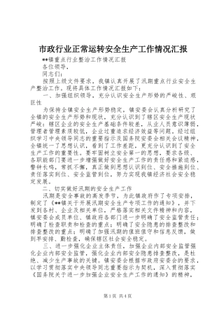 市政行业正常运转安全生产工作情况汇报 