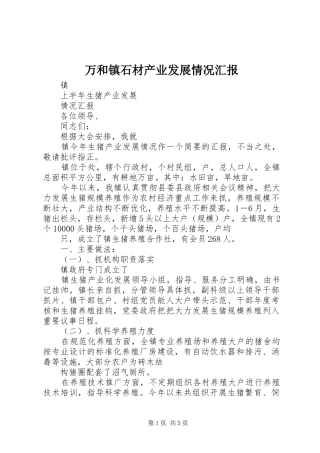 万和镇石材产业发展情况汇报 