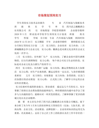 市场策划顶岗实习 