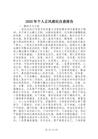 20XX年个人正风肃纪自查报告