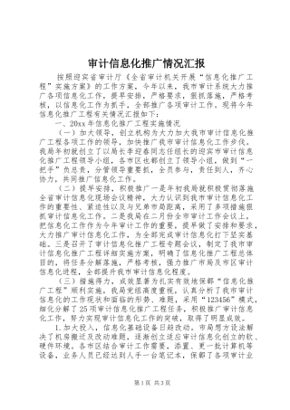 审计信息化推广情况汇报 