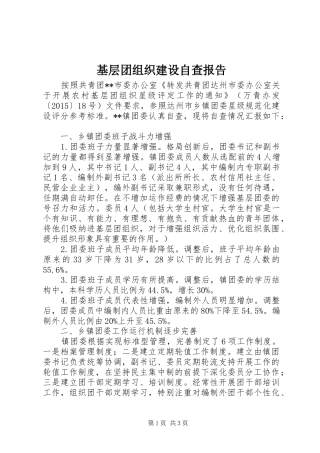 基层团组织建设自查报告 