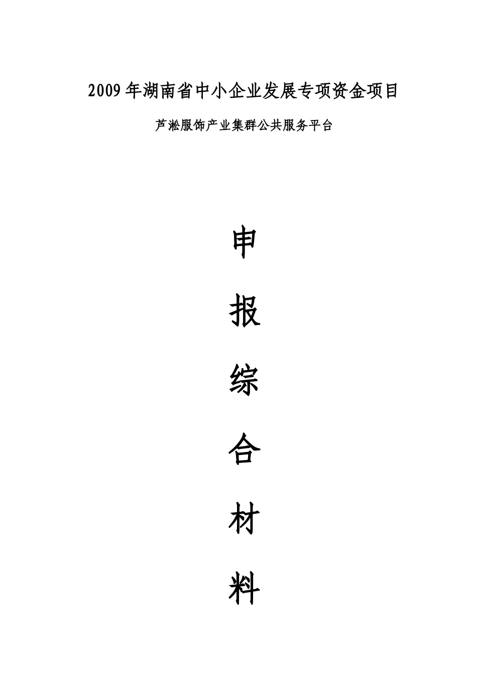 中小企业芦淞服饰产业集群公共服务平台综合材料_第1页