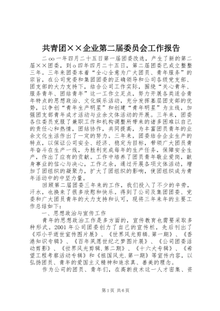 共青团××企业第二届委员会工作报告 