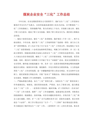 《安全管理文档》之煤炭企业安全“三化”工作总结 