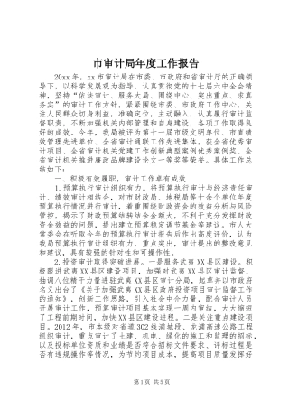 市审计局年度工作报告 