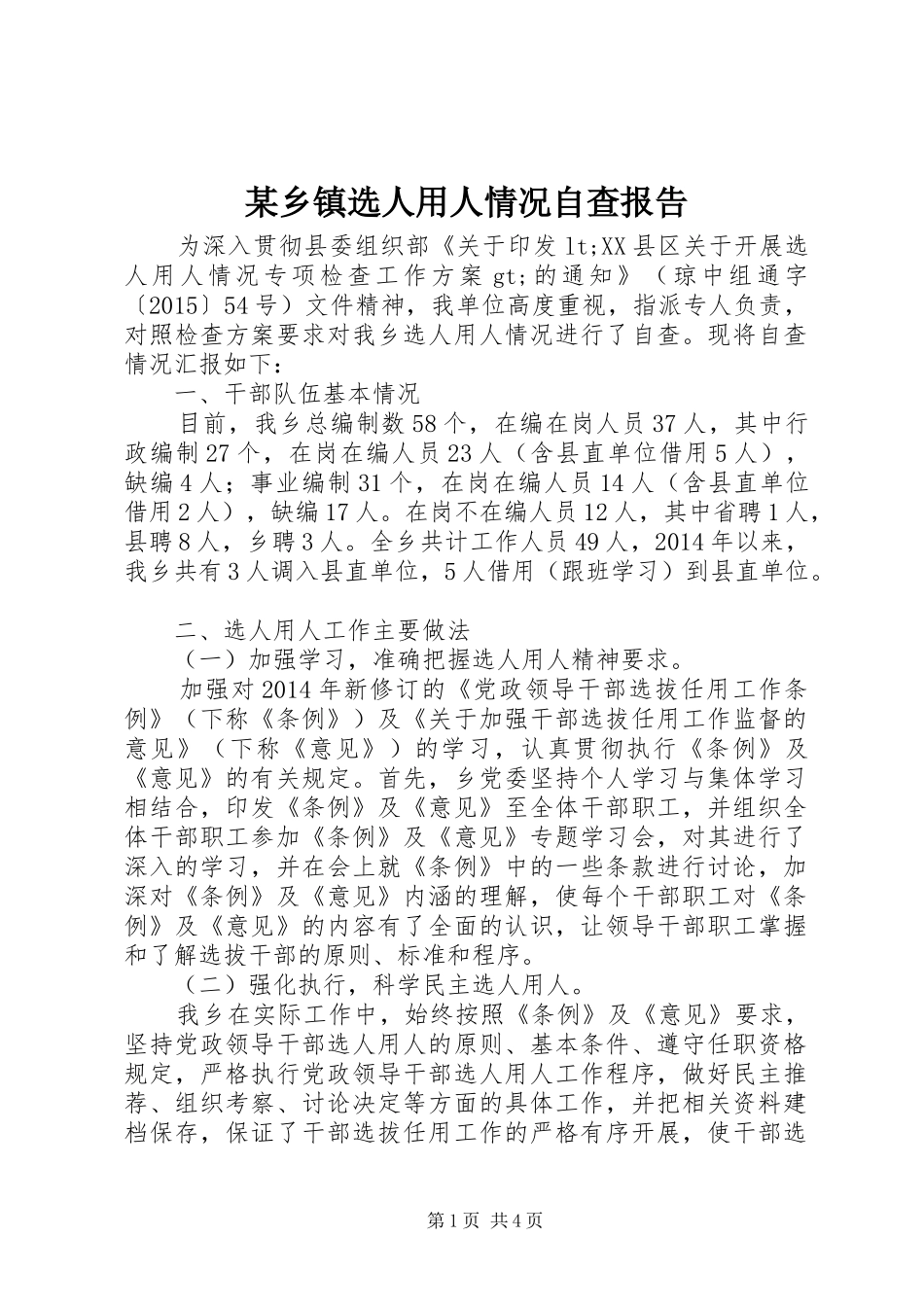 某乡镇选人用人情况自查报告 _第1页