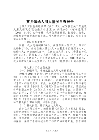 某乡镇选人用人情况自查报告 