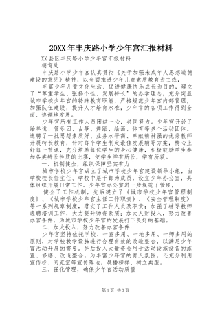20XX年丰庆路小学少年宫汇报材料