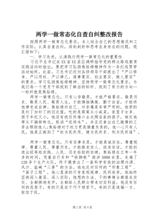 两学一做常态化自查自纠整改报告 