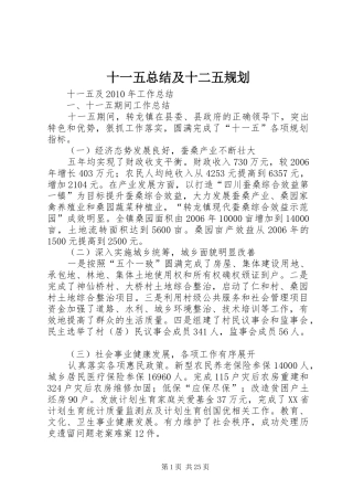 十一五总结及十二五规划