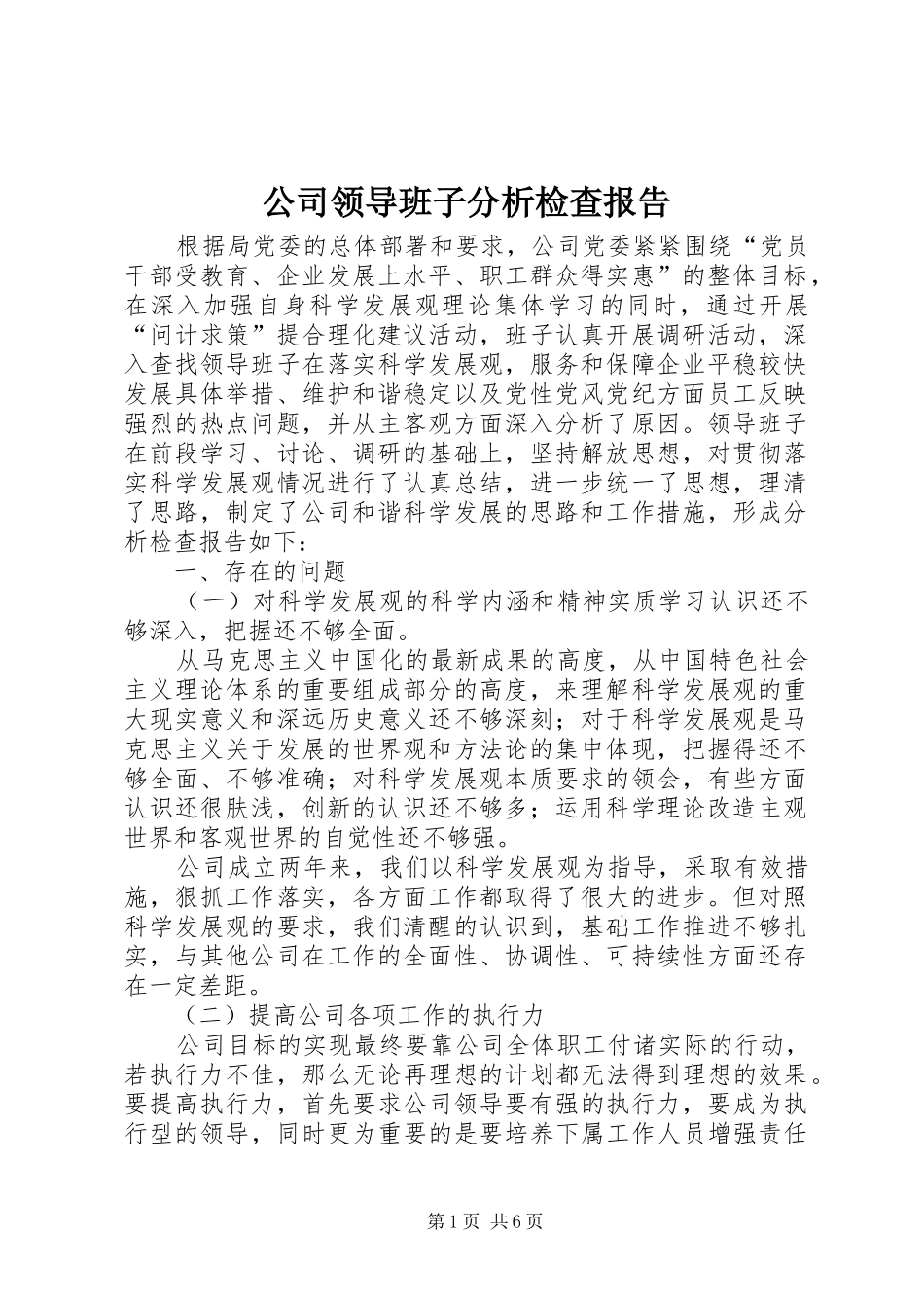 公司领导班子分析检查报告 _第1页