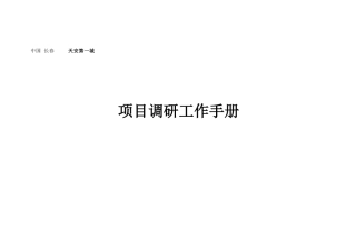 天安项目市场调研工作手册(正）