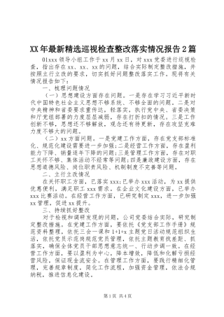 XX年最新精选巡视检查整改落实情况报告2篇
