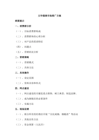 市场营销--文华烟清市场推广方案