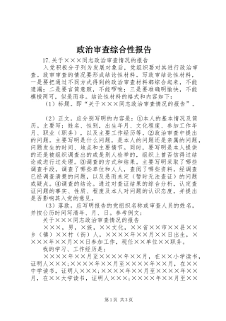 政治审查综合性报告 