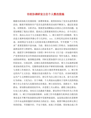市政协调研室主任个人整改措施 