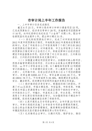 市审计局上半年工作报告 