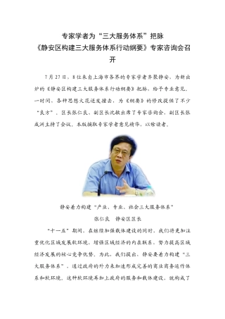 专家学者为三大服务体系把脉