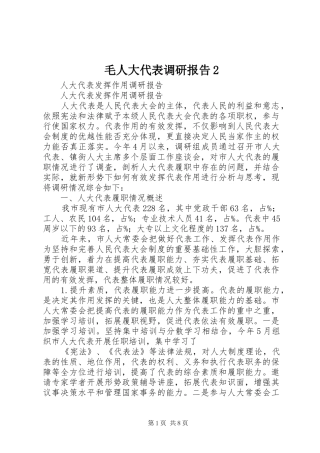 毛人大代表调研报告2 (3)