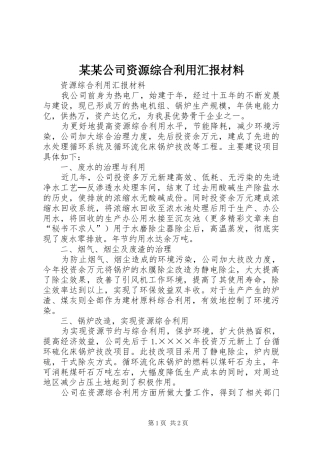 某某公司资源综合利用汇报材料 