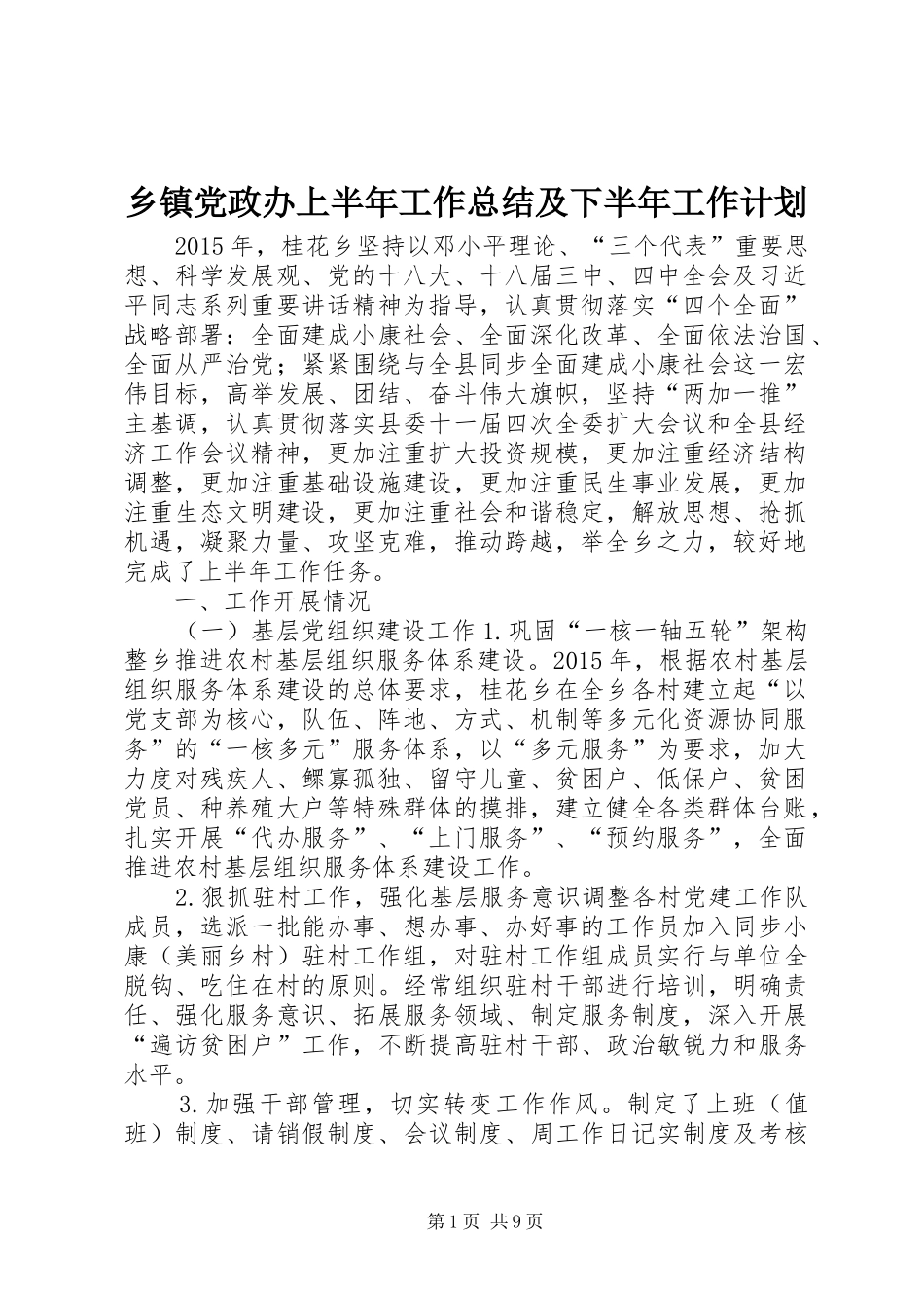 乡镇党政办上半年工作总结及下半年工作计划_第1页