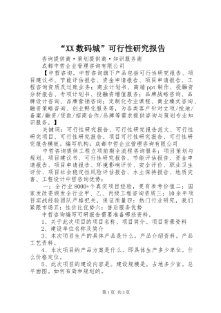 “XX数码城”可行性研究报告 