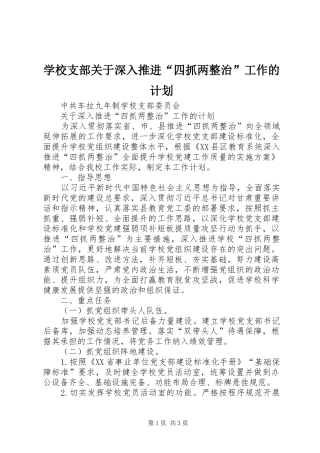 学校支部关于深入推进“四抓两整治”工作的计划