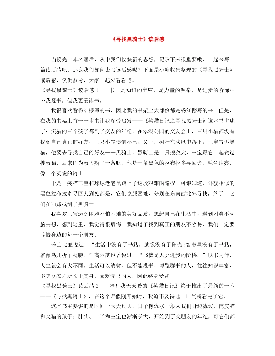 《寻找黑骑士》读后感 _第1页