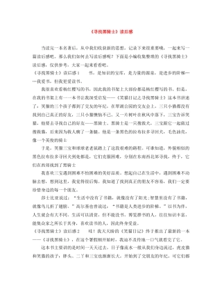 《寻找黑骑士》读后感 