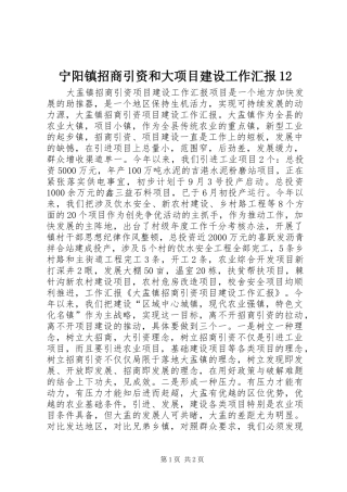 宁阳镇招商引资和大项目建设工作汇报12 