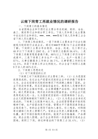 云南下岗青工再就业情况的调研报告 