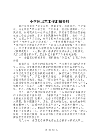 小学体卫艺工作汇报资料 