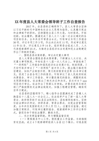 XX年度县人大常委会领导班子工作自查报告 