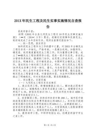 201X年民生工程及民生实事实施情况自查报告