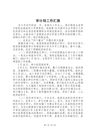 审计局工作汇报 
