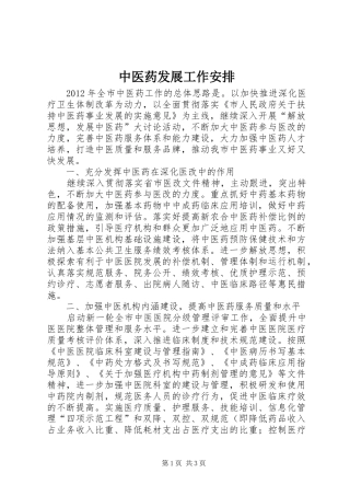 中医药发展工作安排