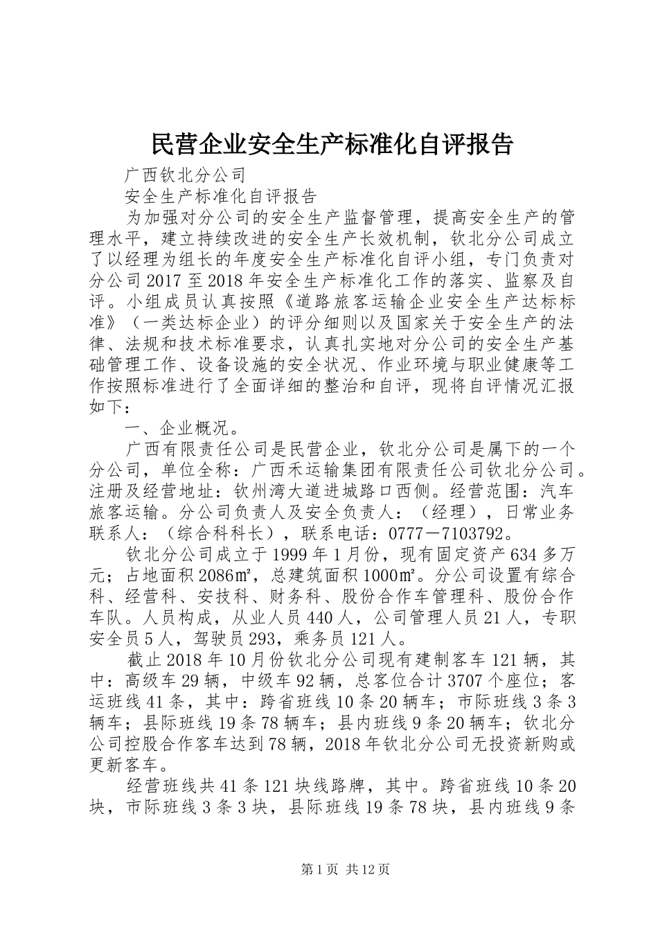 民营企业安全生产标准化自评报告 _第1页