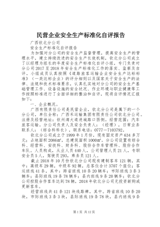民营企业安全生产标准化自评报告 