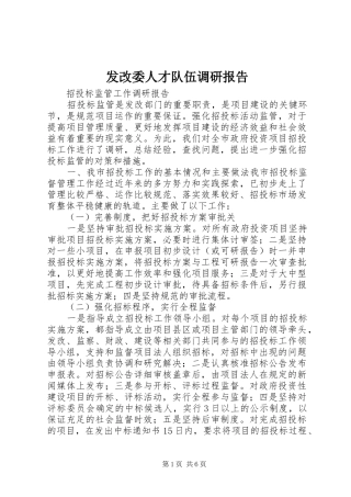 发改委人才队伍调研报告 