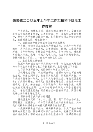 某某镇二○○五年上半年工作汇报和下阶段工作打算 