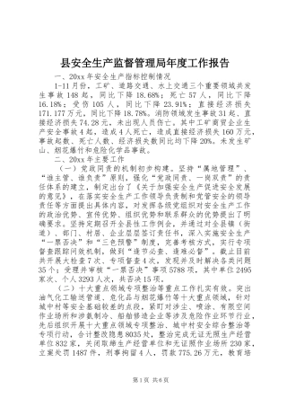 县安全生产监督管理局年度工作报告 