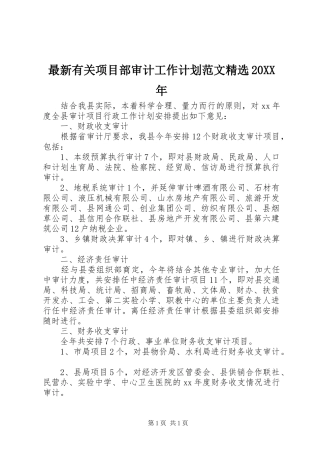 最新有关项目部审计工作计划范文精选20XX年