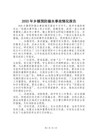 20XX年乡镇预防溺水事故情况报告