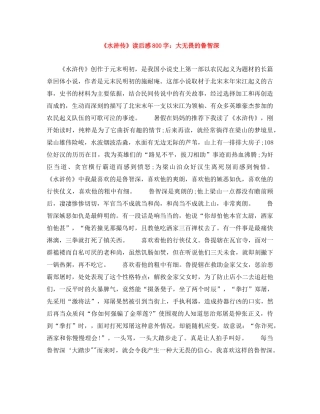 《水浒传》读后感800字大无畏的鲁智深 