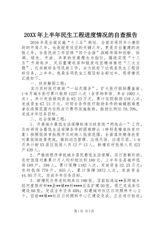 20XX年上半年民生工程进度情况的自查报告