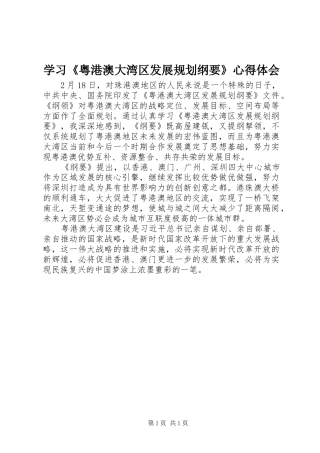 学习《粤港澳大湾区发展规划纲要》心得体会