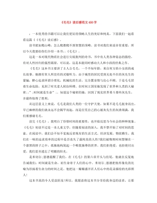 《毛毛》读后感范文400字 