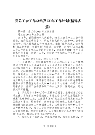 县总工会工作总结及XX年工作计划(精选多篇)