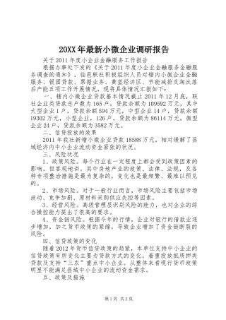 20XX年最新小微企业调研报告 (5)